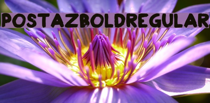 PostazBold-Regular Font examples