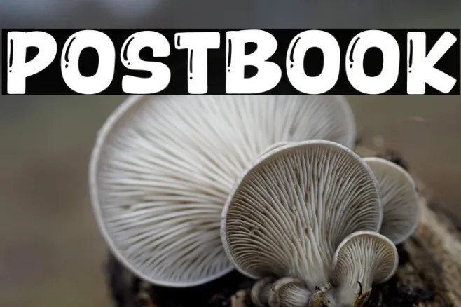 Postbook Example 3