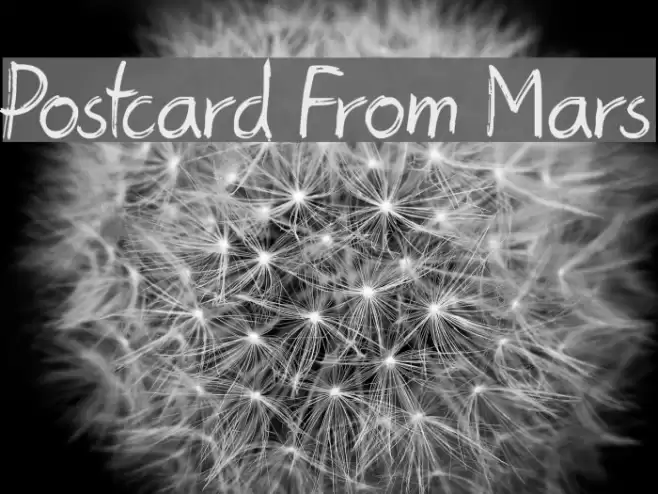 Postcard From Mars خط examples