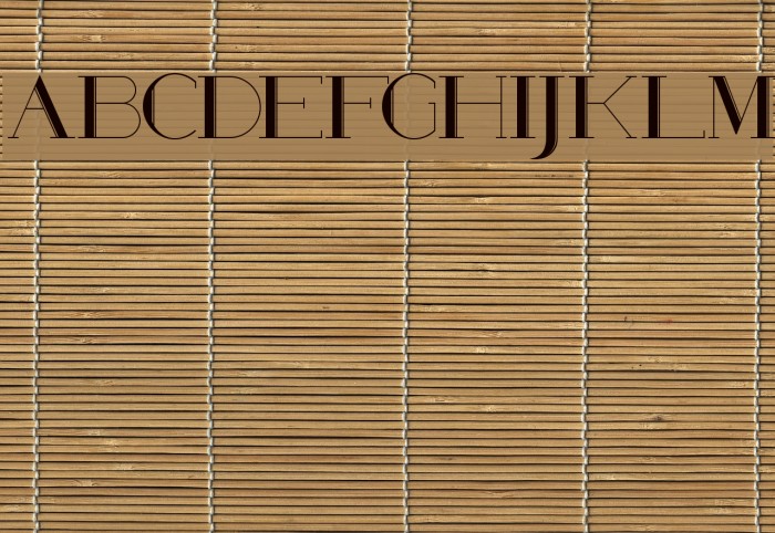 Poste Wired Font examples