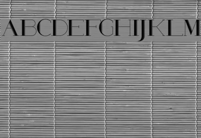 Poste Wired Font examples