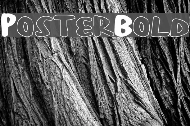 PosterBold Font examples
