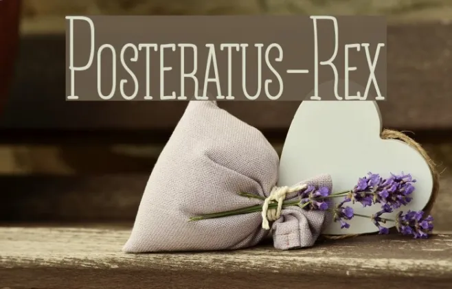Posteratus-Rex Example 2