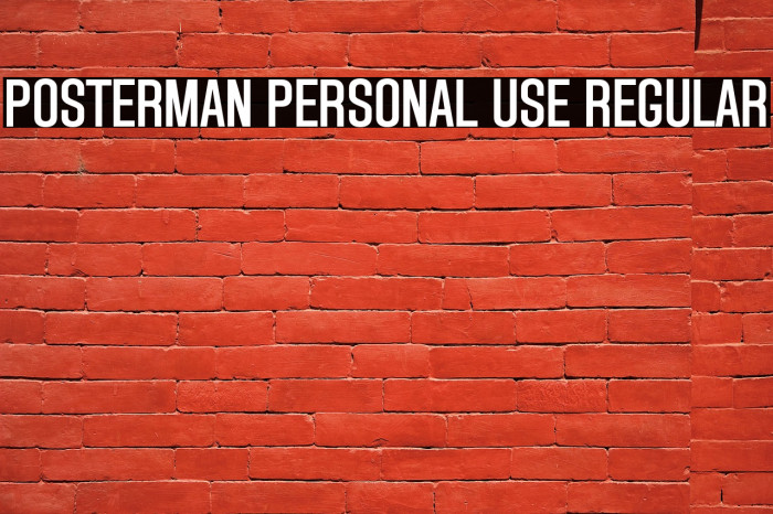 Posterman PERSONAL USE Regular Example 1