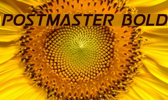 Postmaster Bold Example 1
