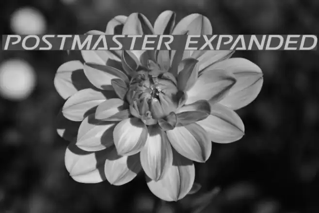 Postmaster Expanded Font examples