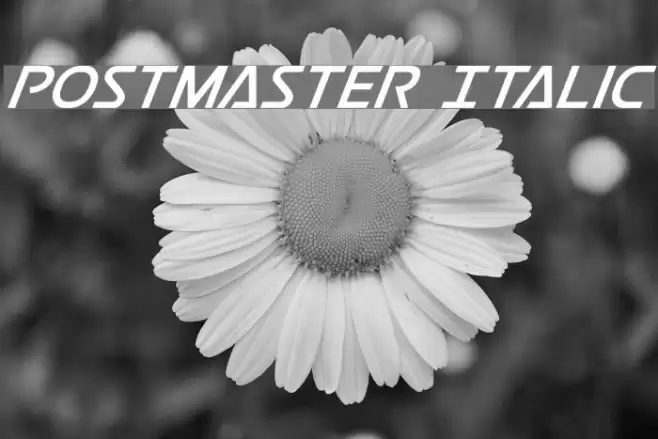 Postmaster Italic examples