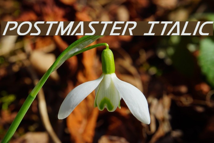 Postmaster Italic Font examples