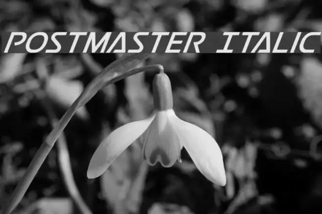 Postmaster Italic examples