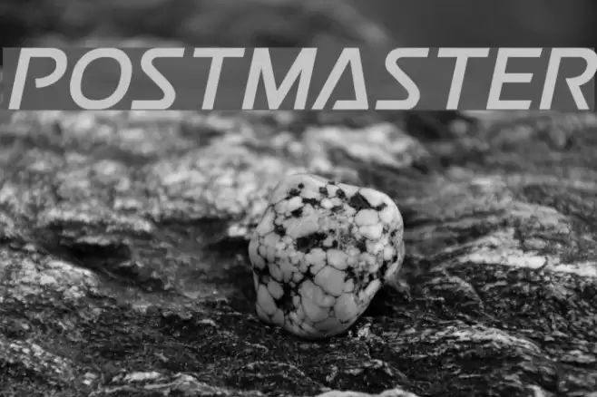 Postmaster  examples
