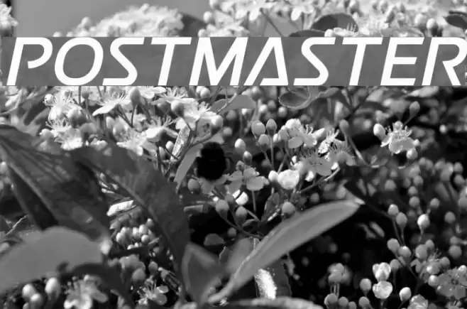 Postmaster  examples
