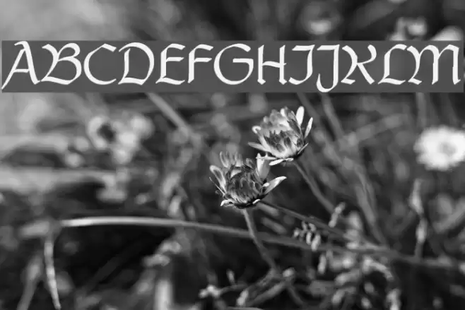 PostmoderneFraktur Polices examples