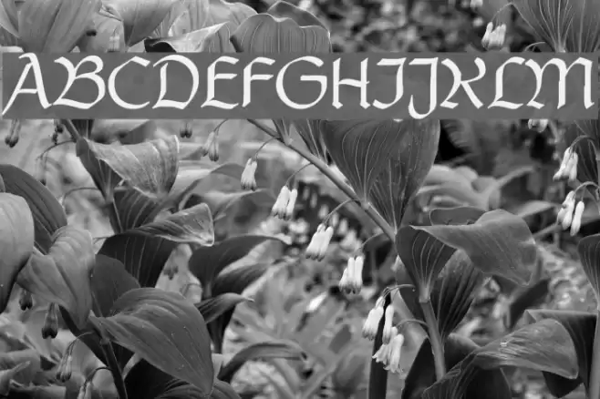 PostmoderneFraktur Polices examples