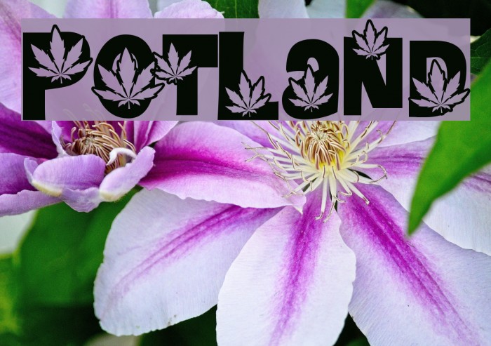 PotLand Font examples