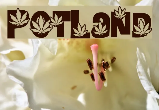 PotLand Example 2