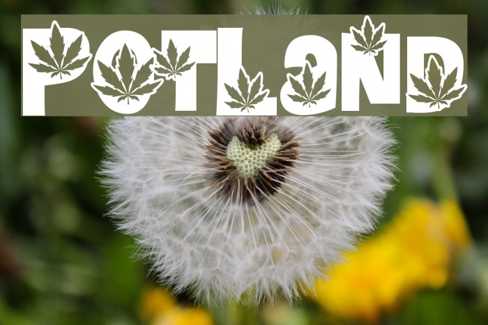 PotLand Font examples