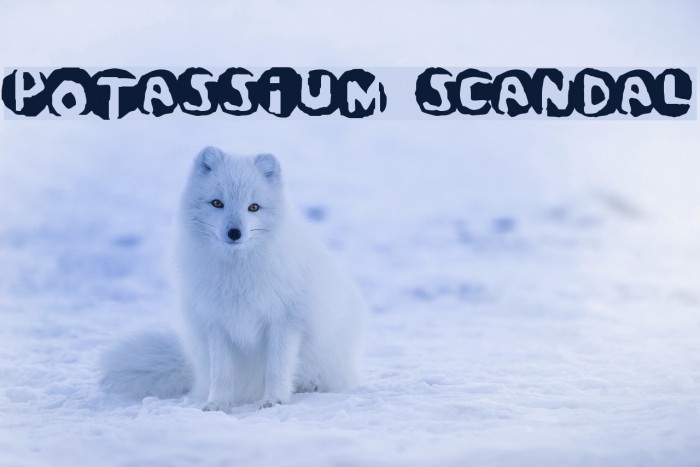 Potassium Scandal フォント examples
