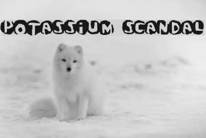 Potassium Scandal Font examples