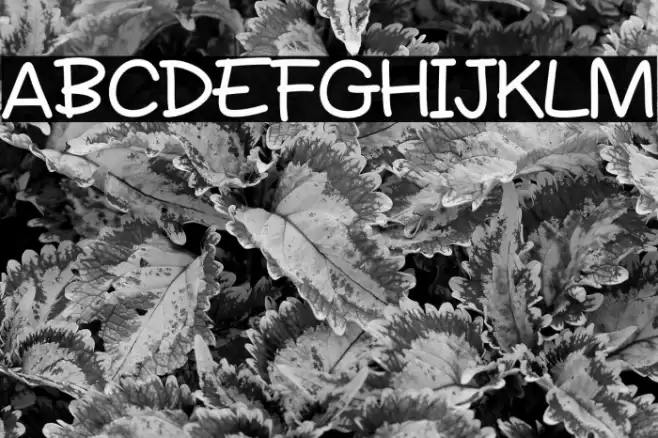 Potato Cake Font examples