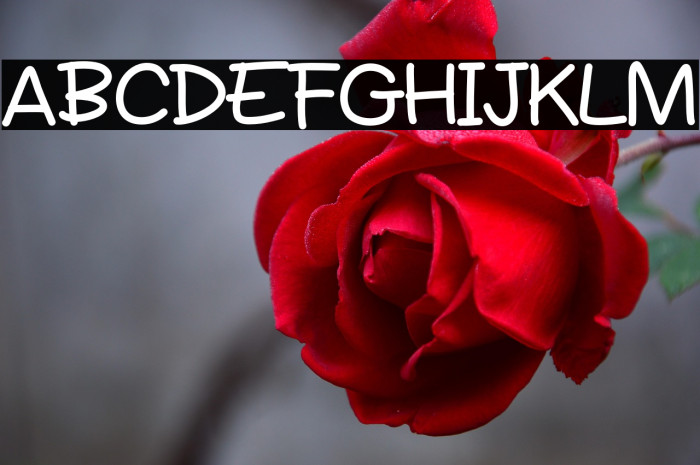 Potato Cake Example 3