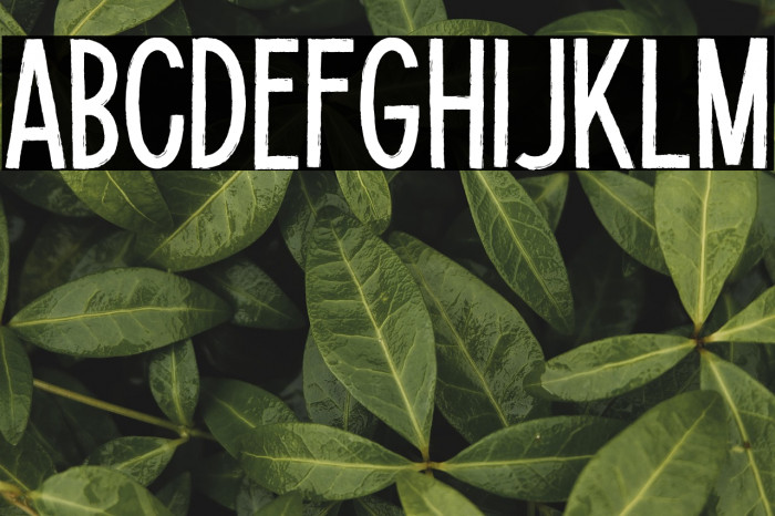 Potato Lite Example 1