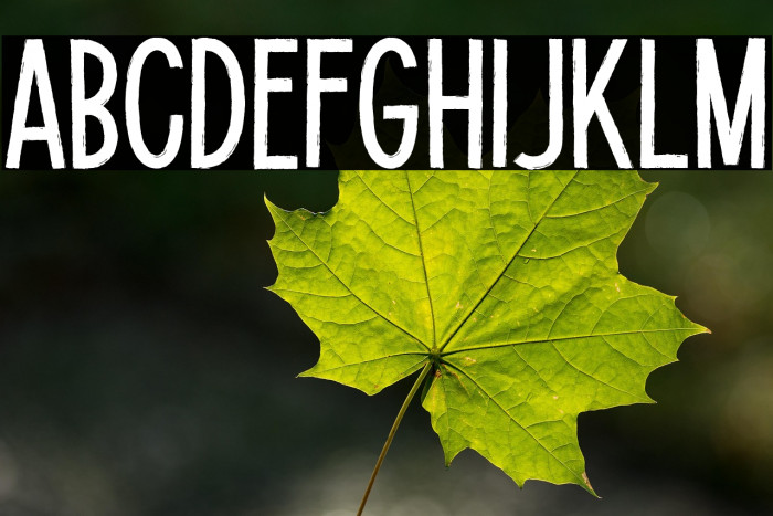 Potato Lite Example 2