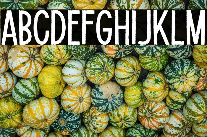 Potato Lite Example 3