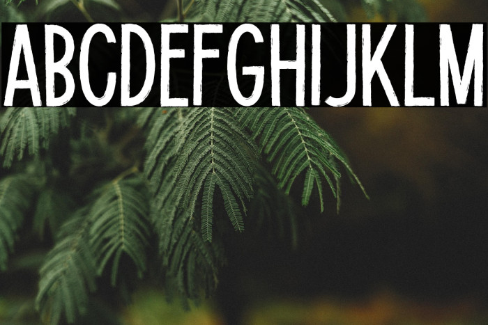 Potato Lite Example 3