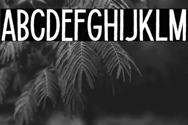 Potato Lite Font examples