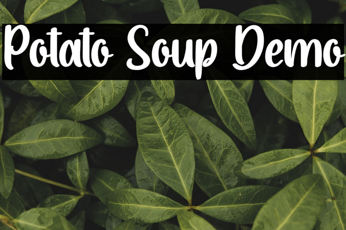 Potato Soup Demo Example 2