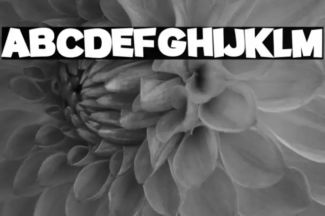 Potato sans Black Font examples