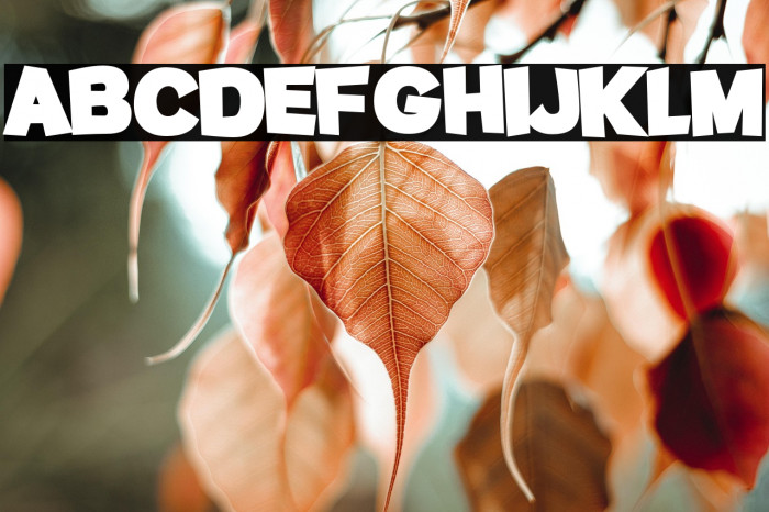 Potato sans Black Example 2