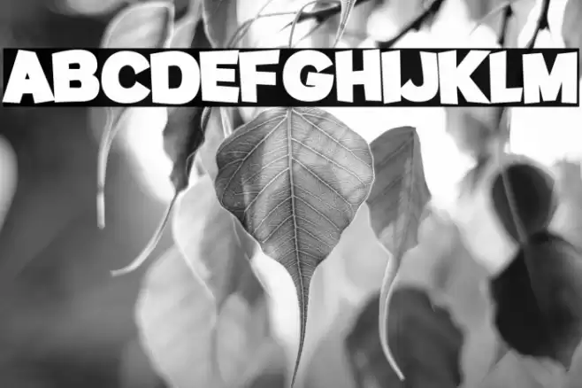 Potato sans Black Font examples