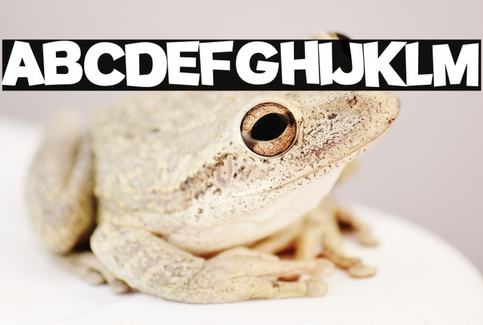 Potato sans Bold Example 3