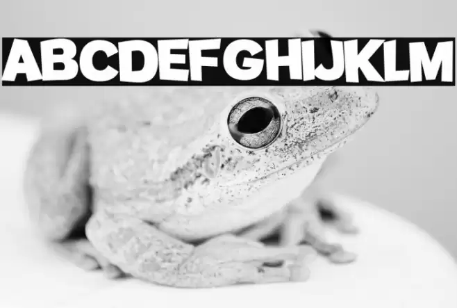 Potato sans Bold Font examples