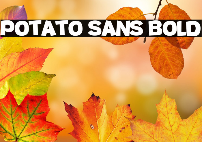 Potato sans Bold Example 2