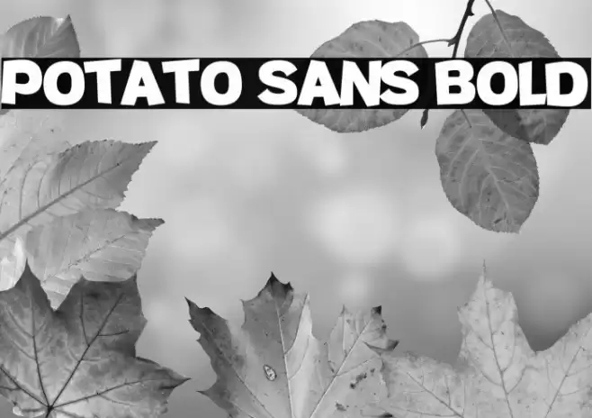 Potato sans Bold Font examples