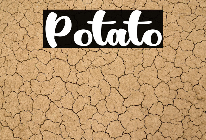 Potato Example 3