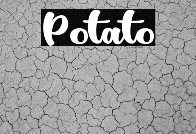 Potato Font examples