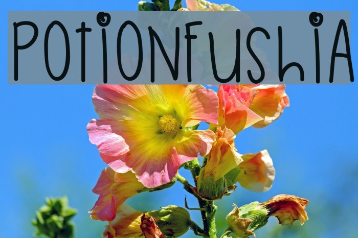 PotionFushia Font examples