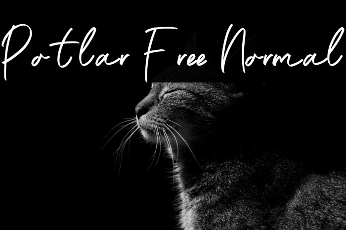 Potlar Free Normal Example 1