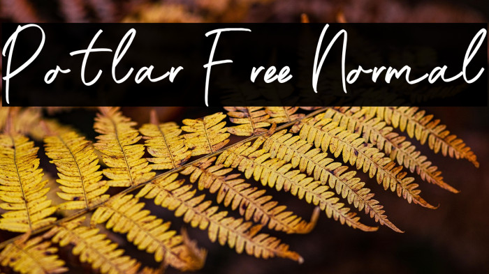 Potlar Free Normal Example 2