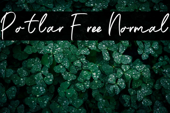 Potlar Free Normal Example 3