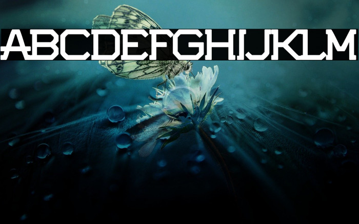 Potorro Angular Example 1