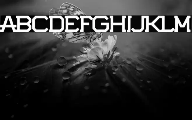 Potorro Angular Font examples