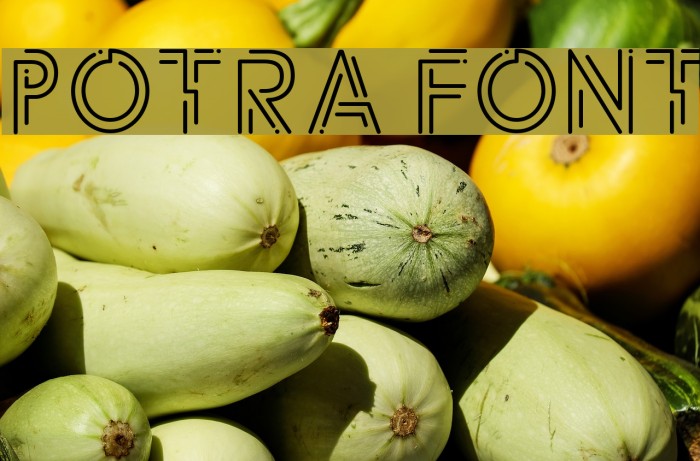 Potra Font examples