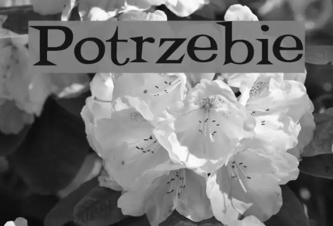 Potrzebie Font examples