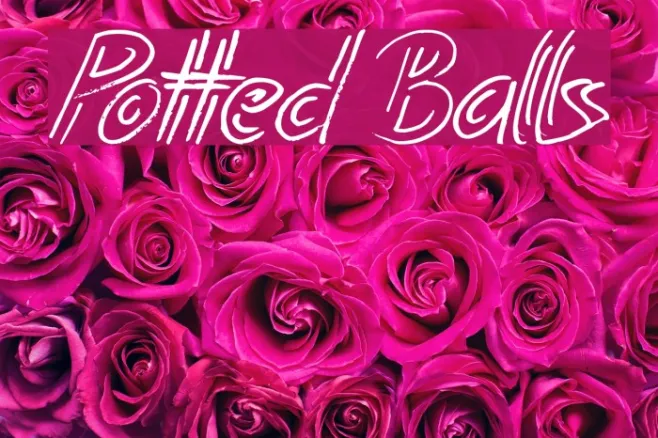 Potted Balls Example 1