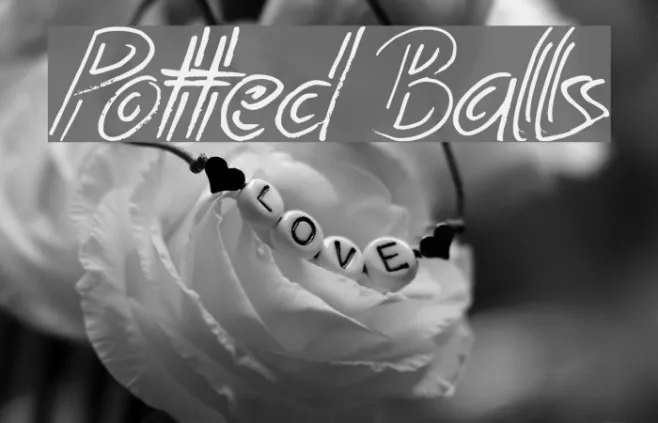 Potted Balls Example 2