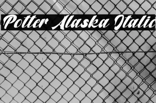 Potter Alaska Italic Font examples